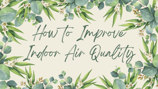 How to Improve Indoor Air Quality 2023